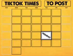 Best Time To Post On TikTok 2021 - AudienceGain Ltd
