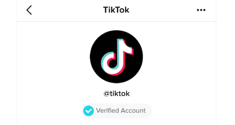 TikTok-fast에서 확인하는 방법