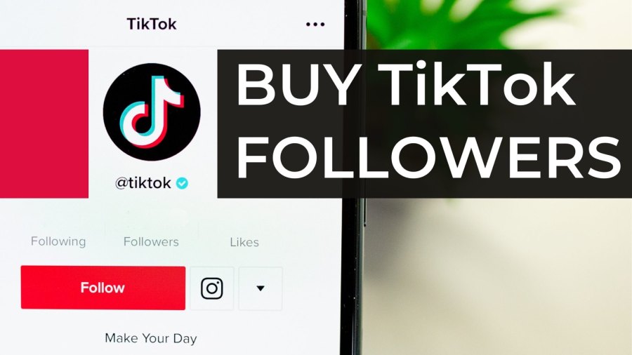 Creator Marketplace How to get more followers on tiktok to get paid