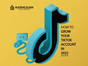 Grow Your TikTok Account