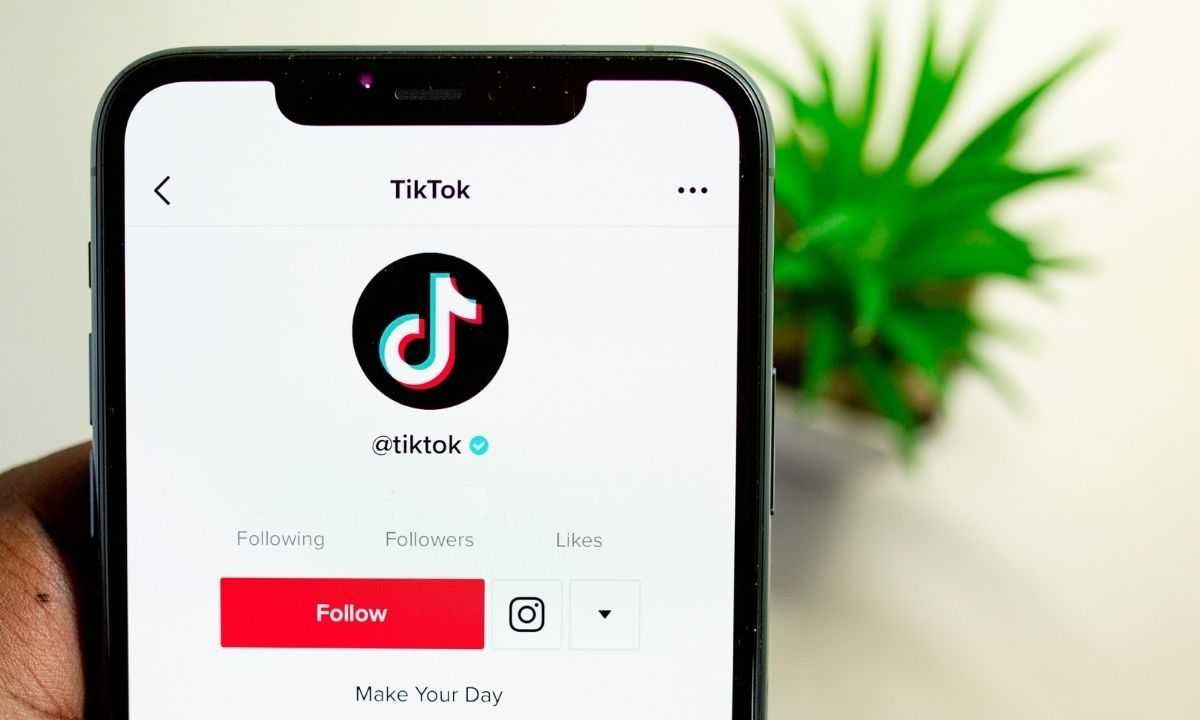 Otu esi enweta ndị na-eso Tiktok efu